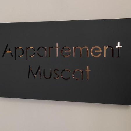 Appartement Les Souvenirs D'Alsace à Colmar Extérieur photo