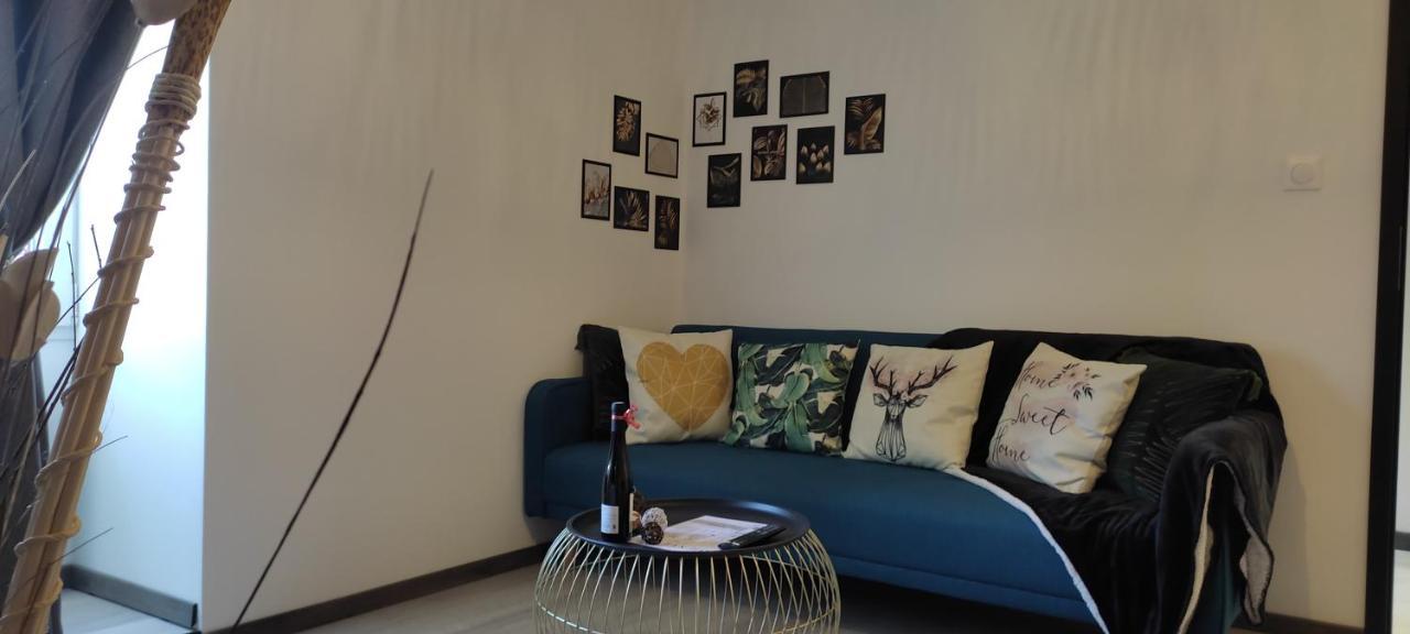 Appartement Les Souvenirs D'Alsace à Colmar Extérieur photo