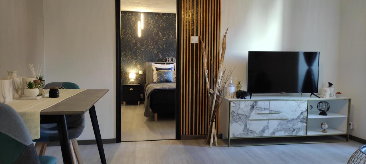 Appartement Les Souvenirs D'Alsace à Colmar Extérieur photo